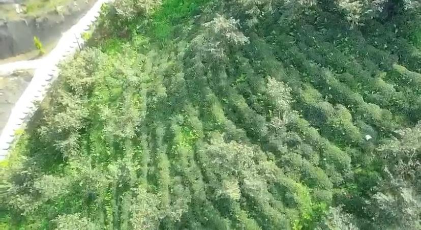 SÜRMENE ORTA MAHALLE DENİZ MANZARALI TURİZM İMARLI SATILIK ARSA